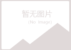 高安初夏能源有限公司